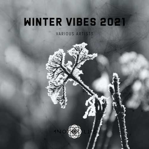 VA - Winter Vibes 2021 [ALMVA122021]